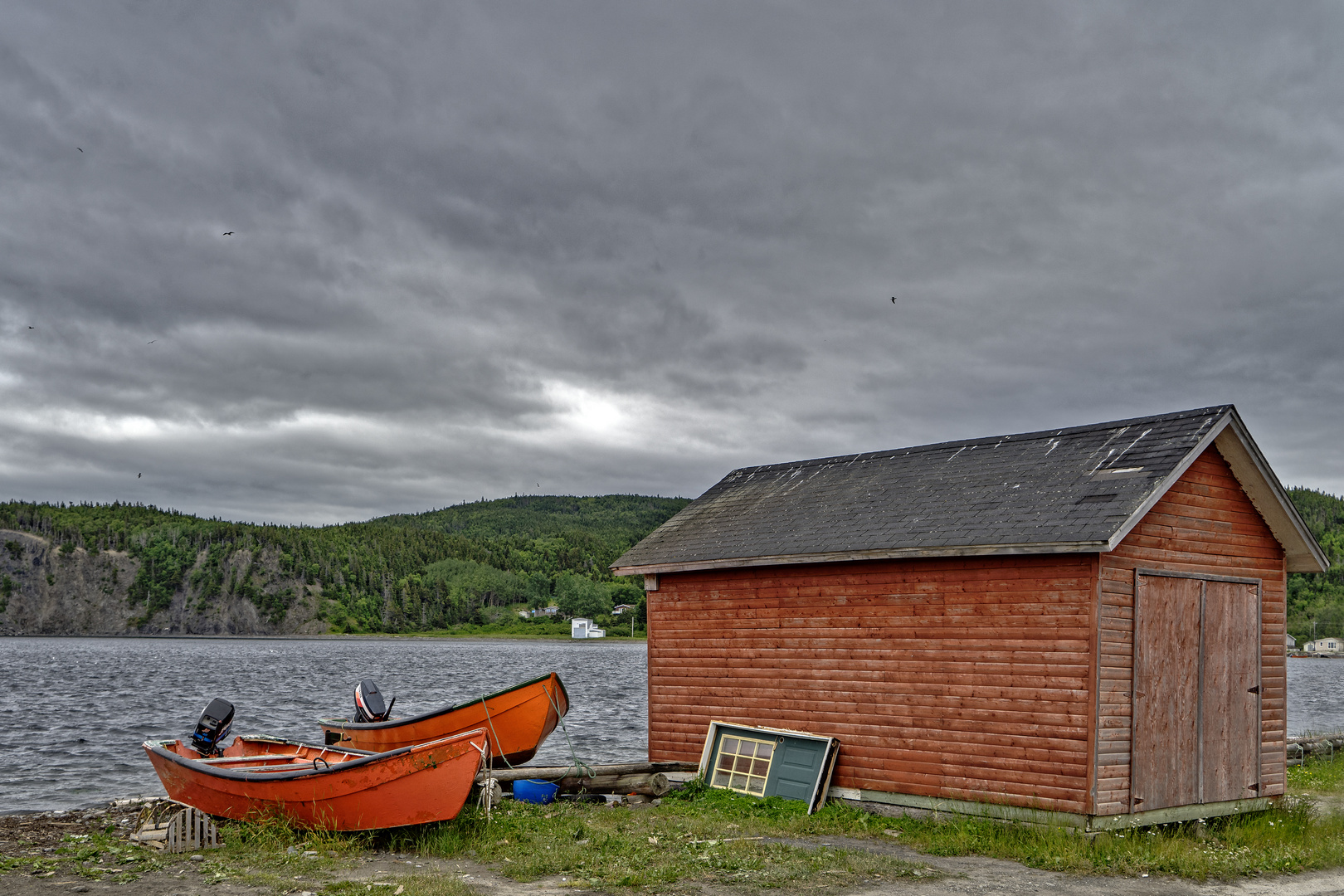 Lark Harbour 1