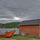 Lark Harbour 1