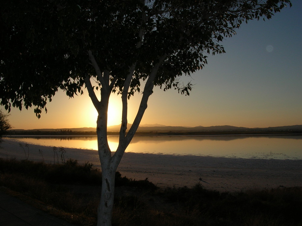 Larnaca, Abendstimmung am Salzsee