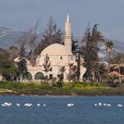 Larnaca - Tekke Moschee am Salzsee