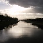 L'arno alle Cascine