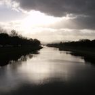 L'arno alle Cascine