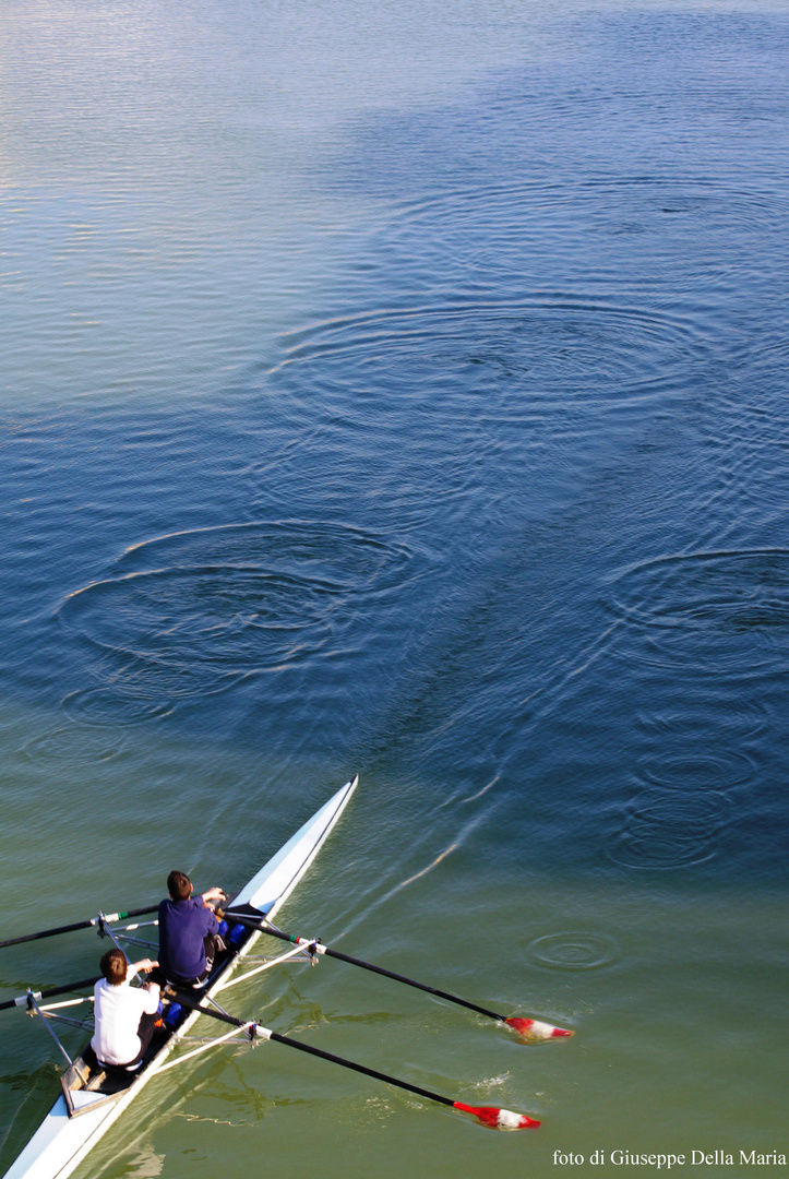 L'Arno ed i suoi protagonisti - febbraio 2010