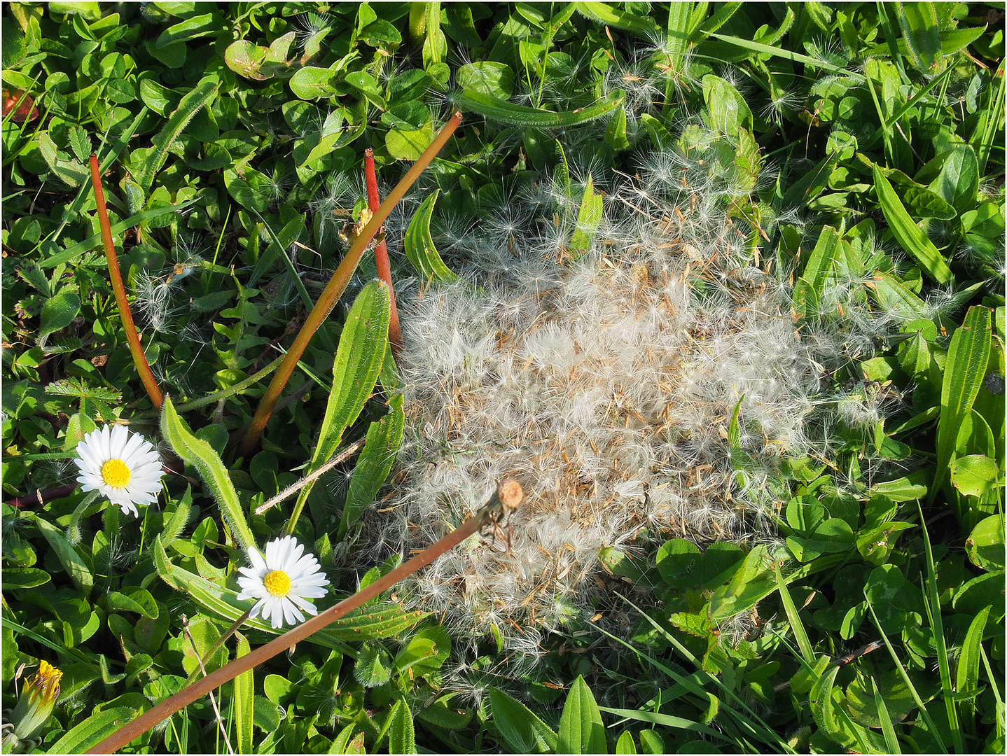 Larousse n’aurait pas fait mieux…