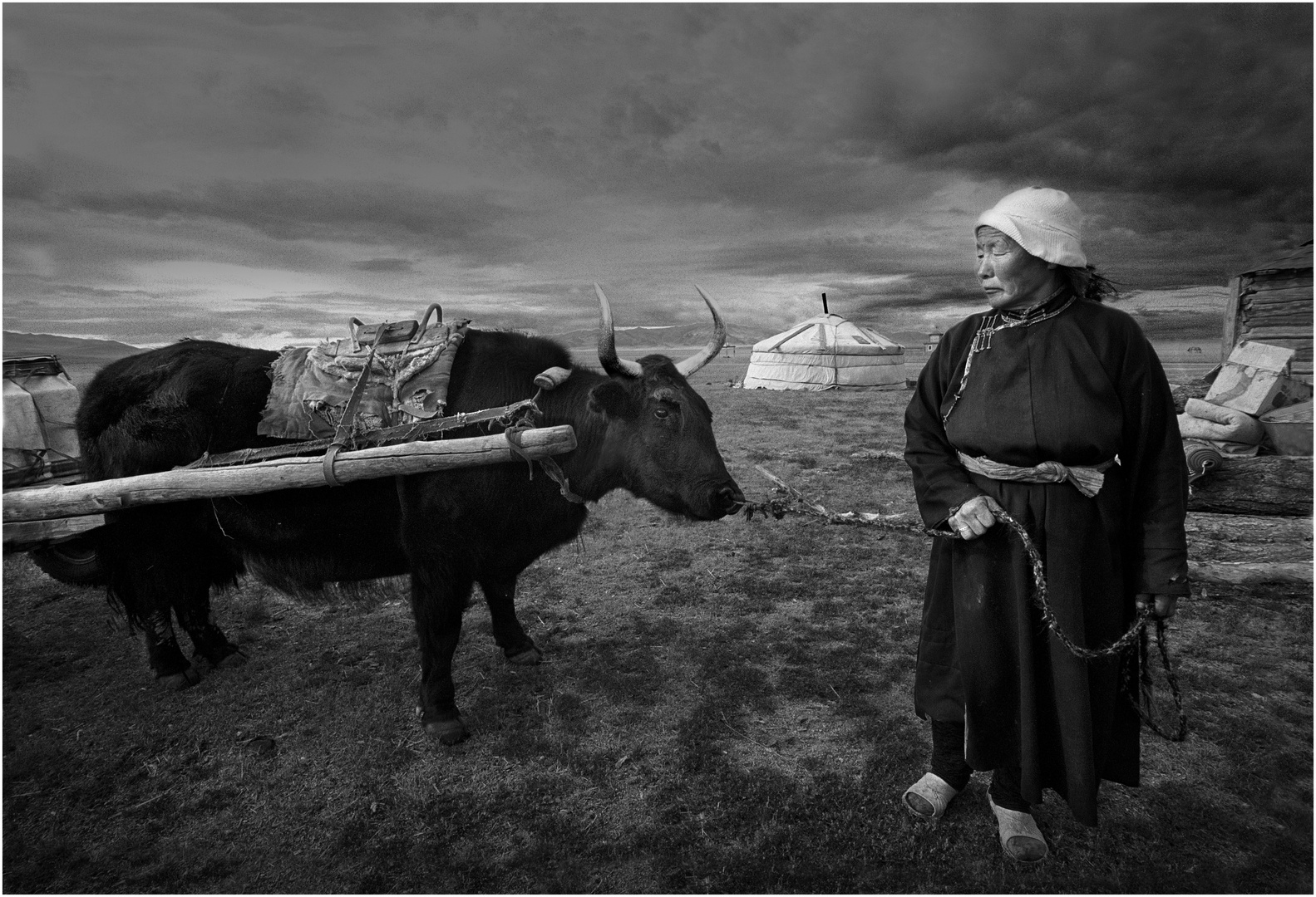 L'arrivée au campement