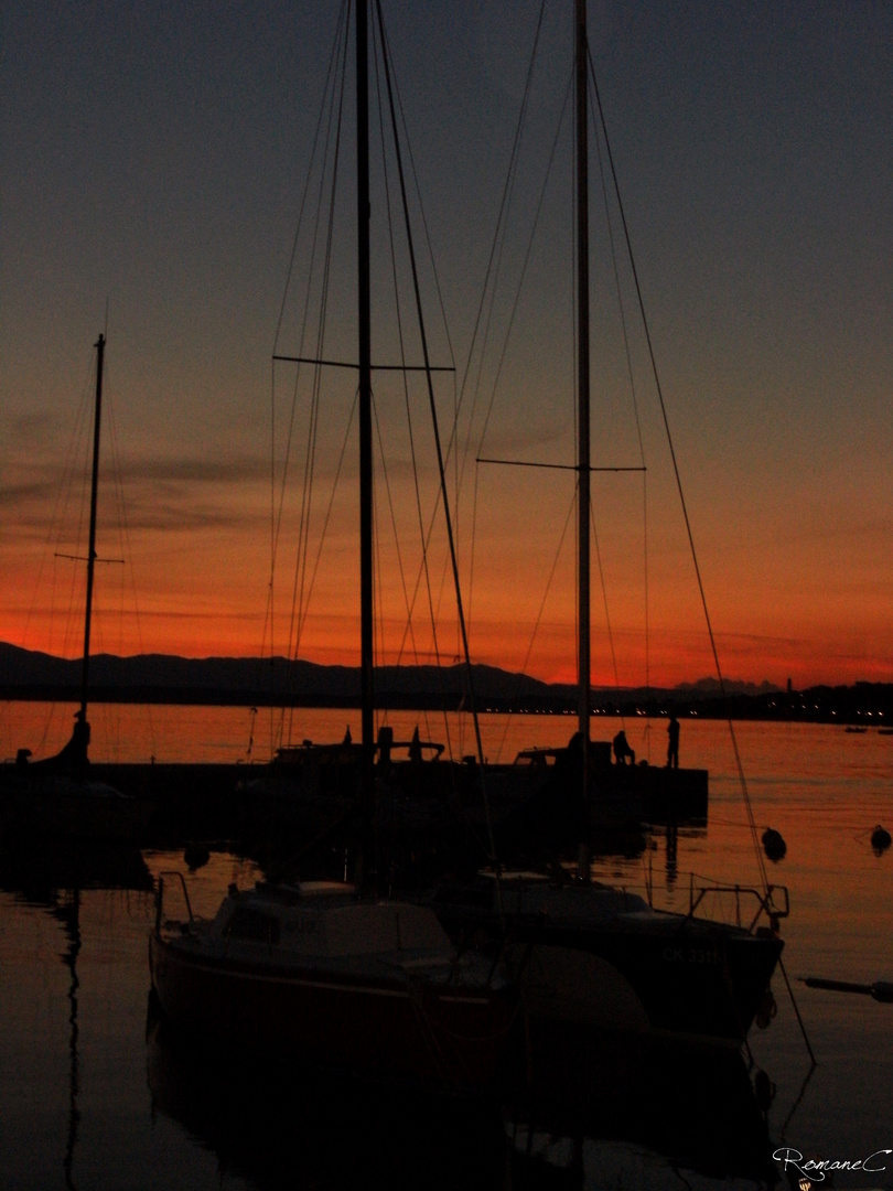 l'arrivée au port