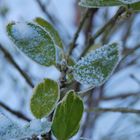 l'arrivée de l'hiver