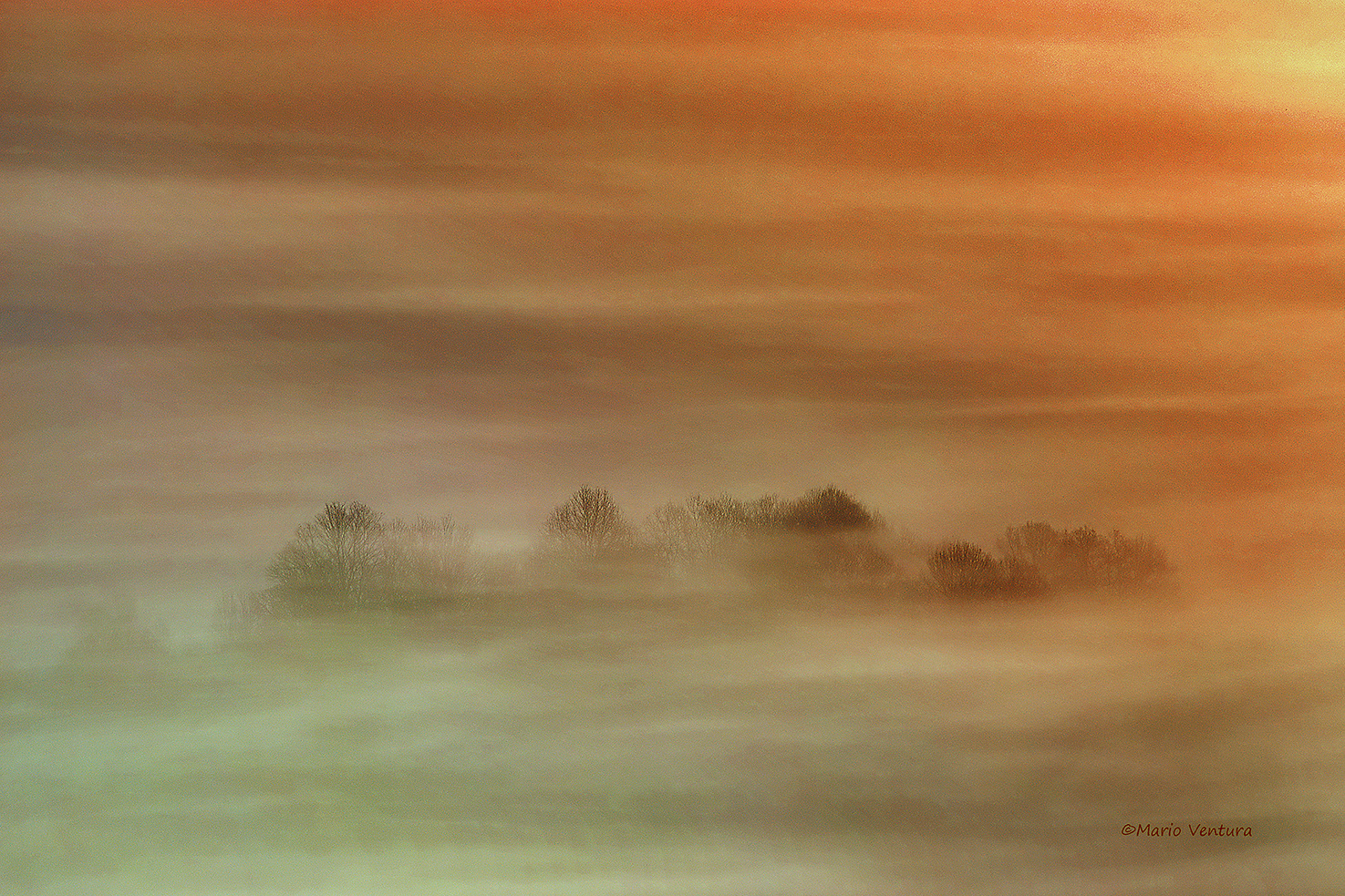 L'arrivo della luce