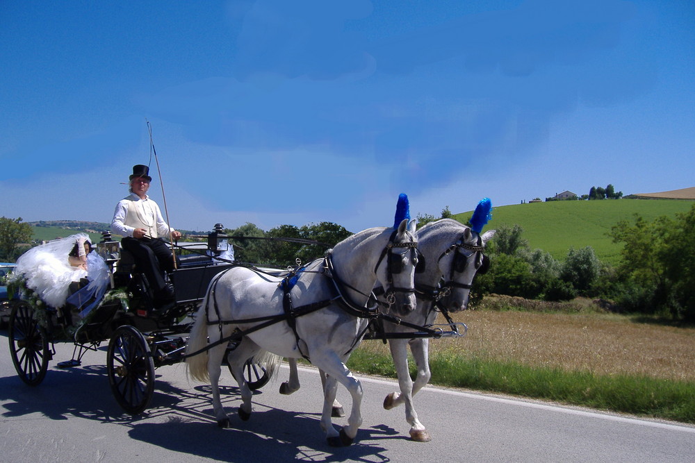 L'arrivo della sposa