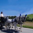 L'arrivo della sposa