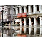 L'arrivo dell'acqua alta (Venezia)