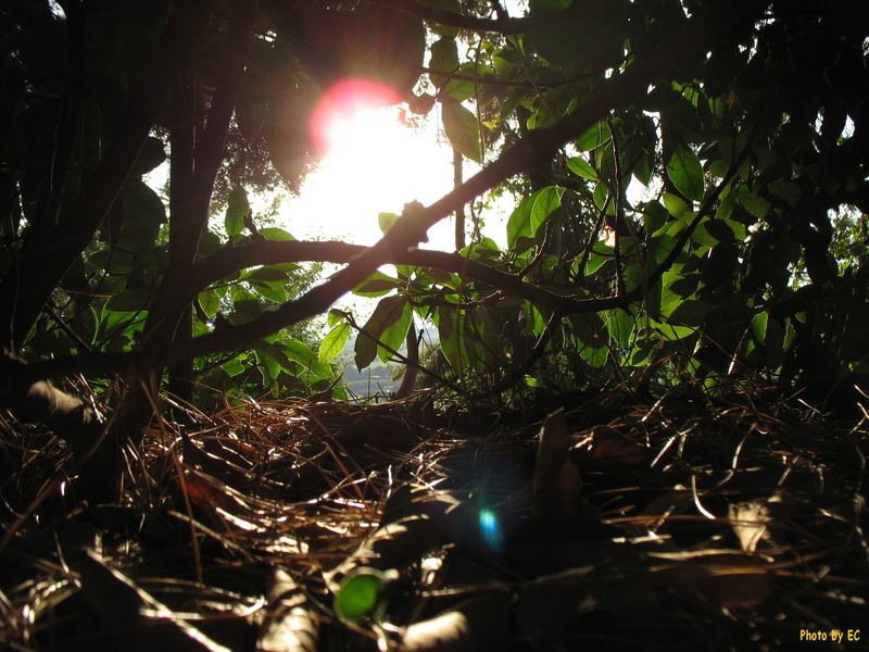 L'arrivo dell'autunno