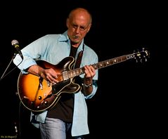 Larry Carlton.