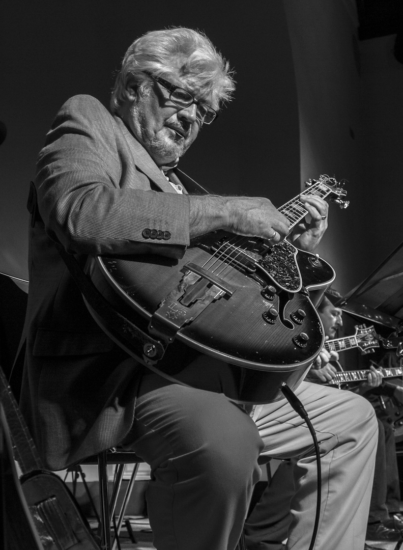 larry coryell in straubing