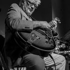 larry coryell in straubing