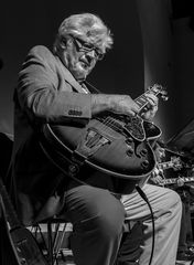 larry coryell in straubing