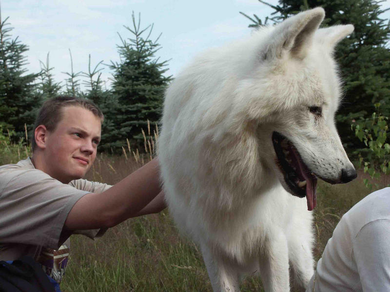 Lars mit dem Wolf !