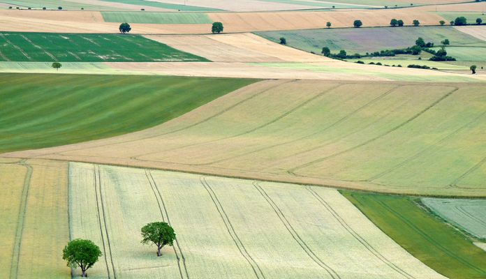 Paysages De Campagne Images Photos