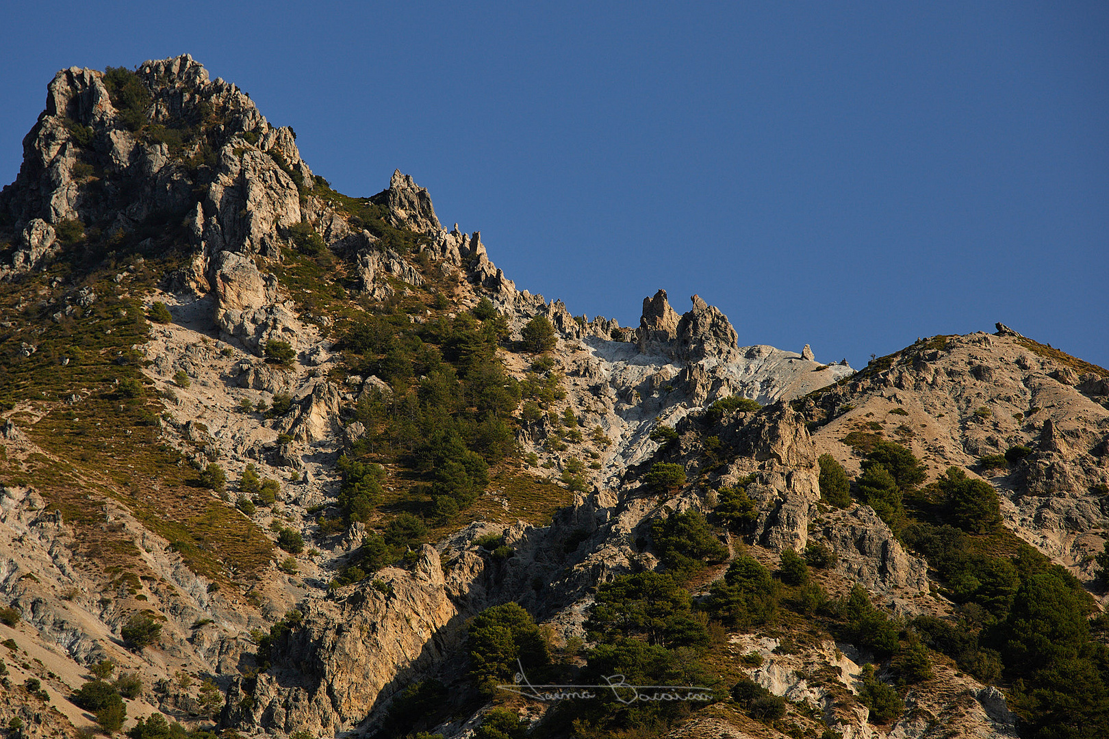 Las águilas del Trevenque