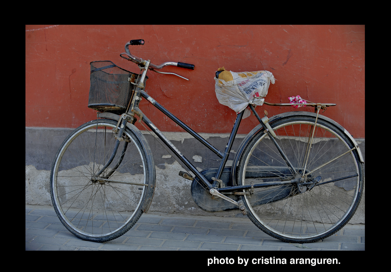 LAS BICICLETAS DE BEIJING.2