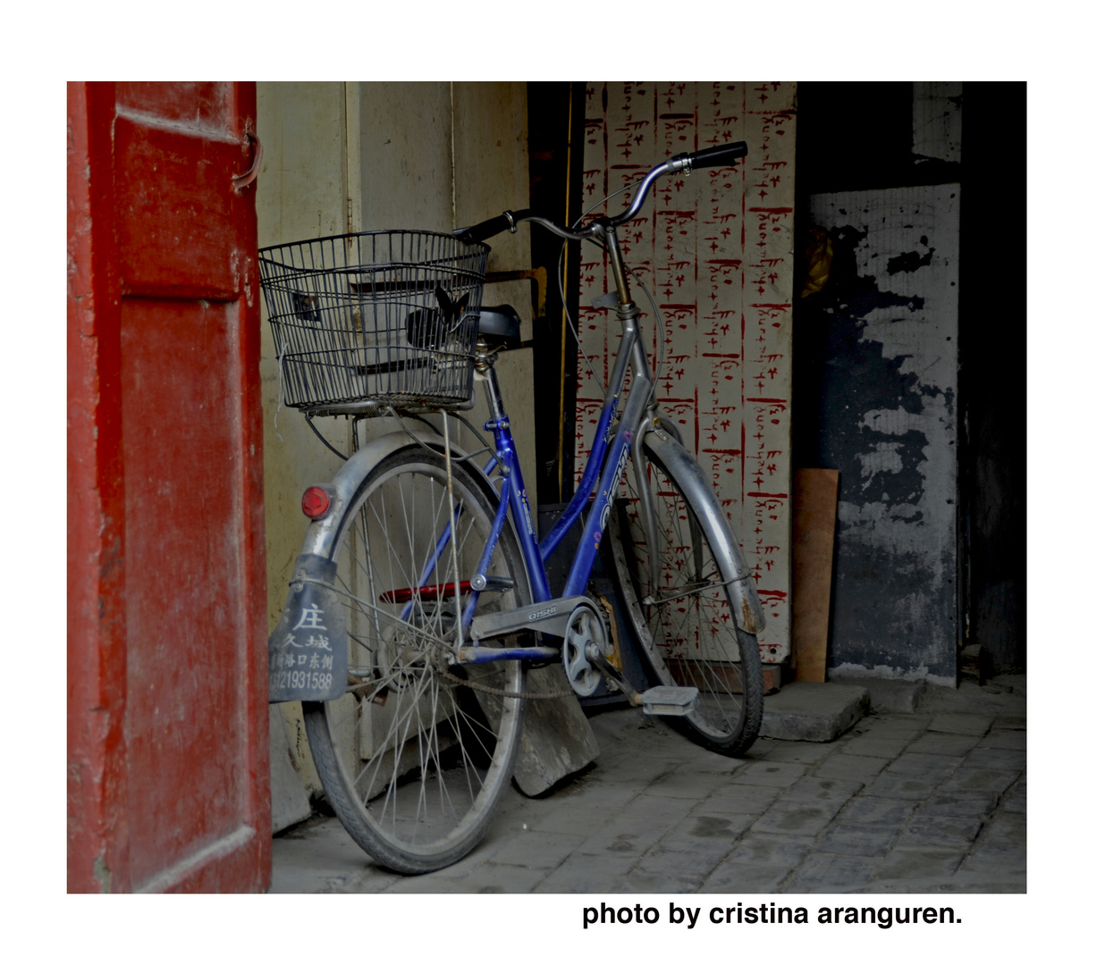 LAS BICICLETAS DE BEIJING.4