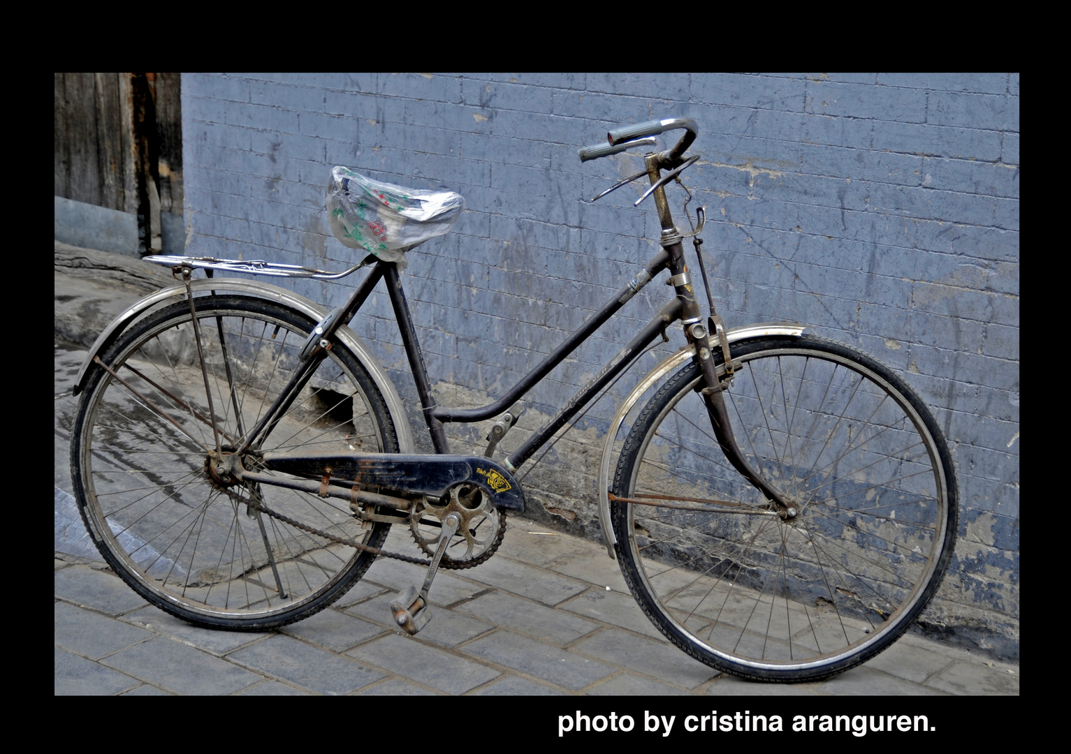 LAS BICICLETAS DE BEIJING.5