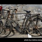 LAS BICICLETAS DE BEIJING.7