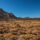 LAS CAÑADAS DEL TEIDE