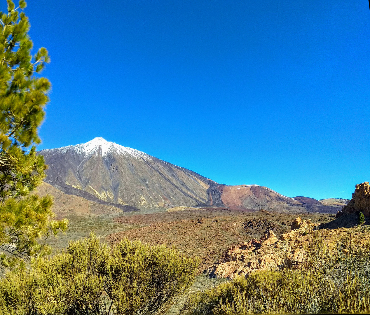 Las Cañadas del Teide - Tenerife