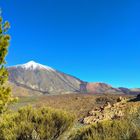 Las Cañadas del Teide - Tenerife