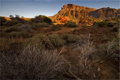 Las Cañadas mit Guajara im Abendlicht