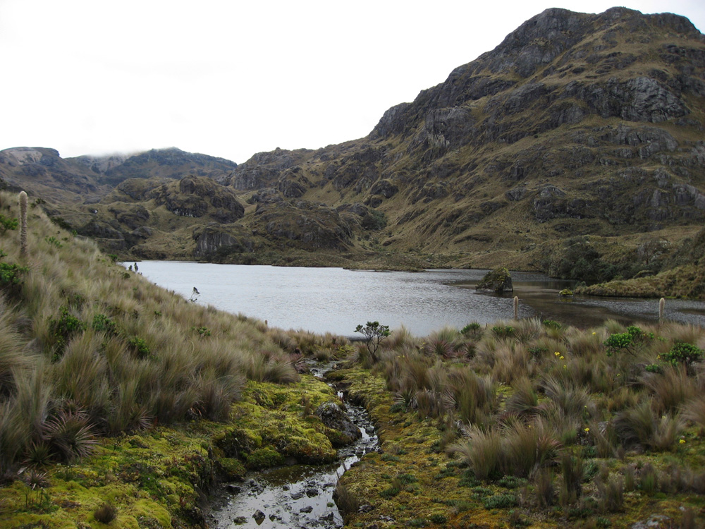 Las Cajas 1