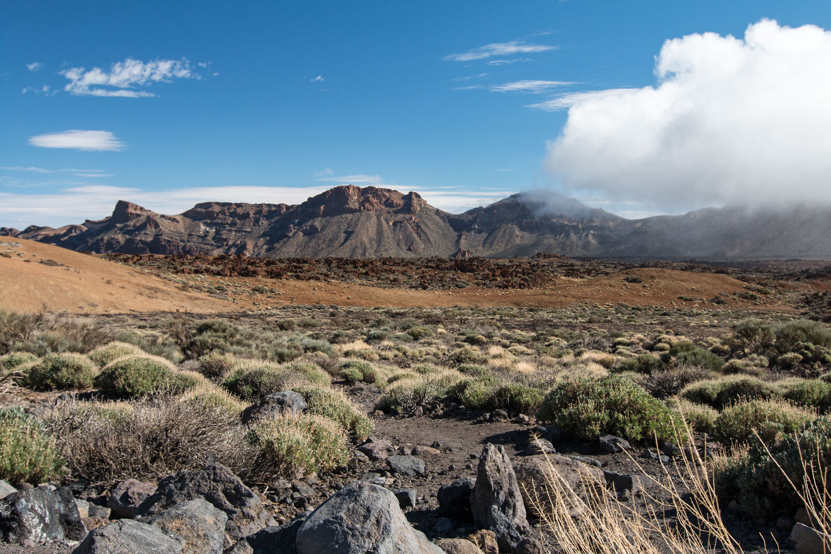 Las Canadas del Teide