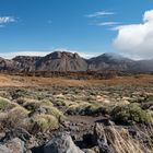 Las Canadas del Teide