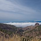 Las Canadas del Teide - Über den Wolken