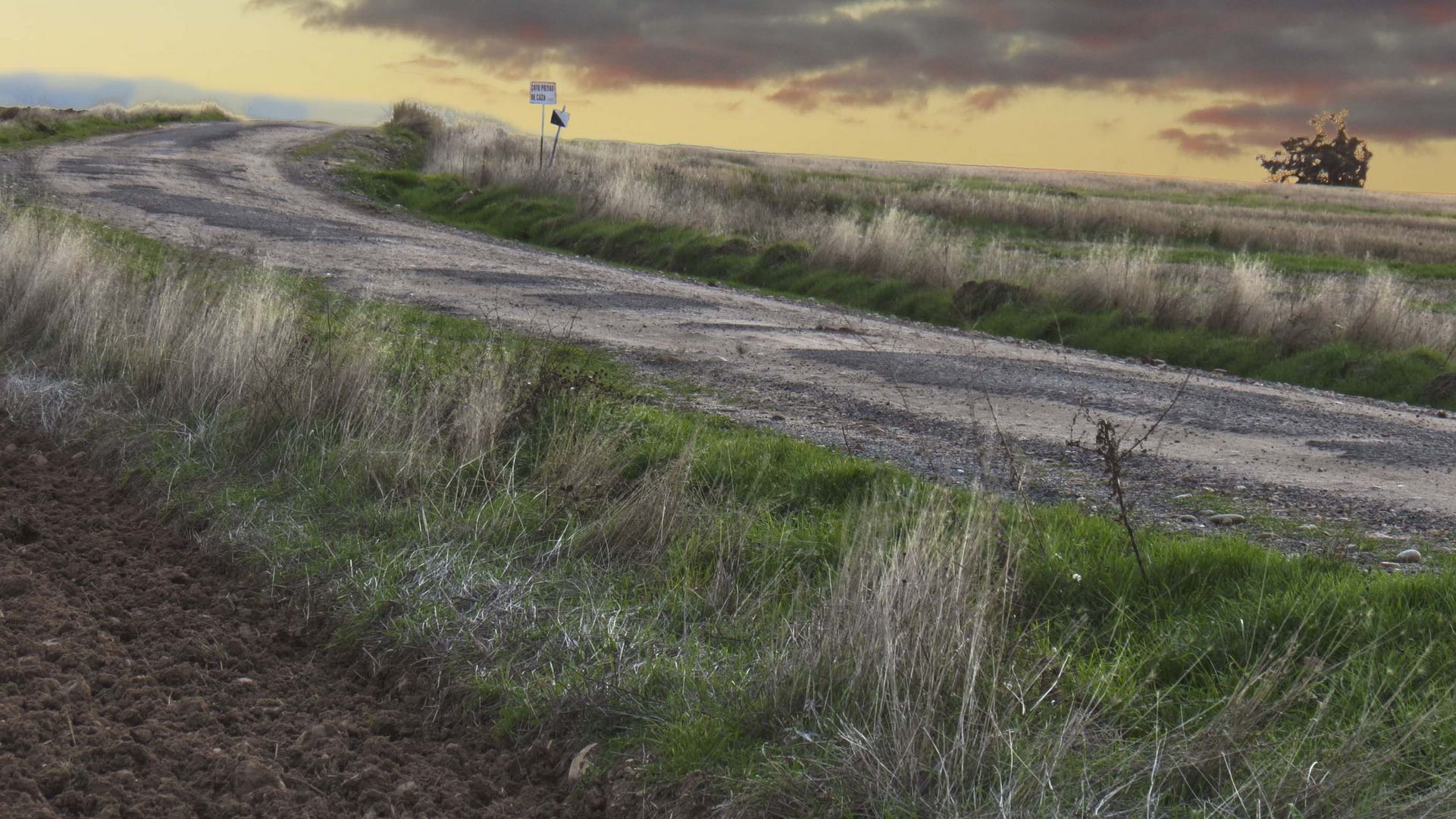 Las carreteras en la crisis