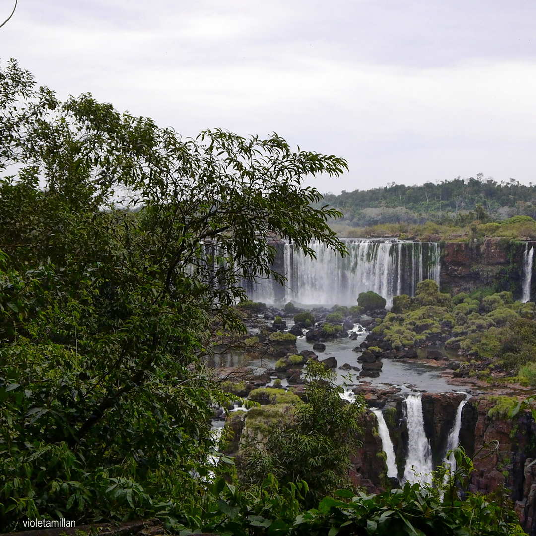 LAS CATARATAS,DESDE LA SELVA