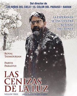 las cenizas de la luz