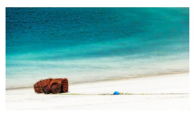 LAS CESTAS DEL PESCADOR