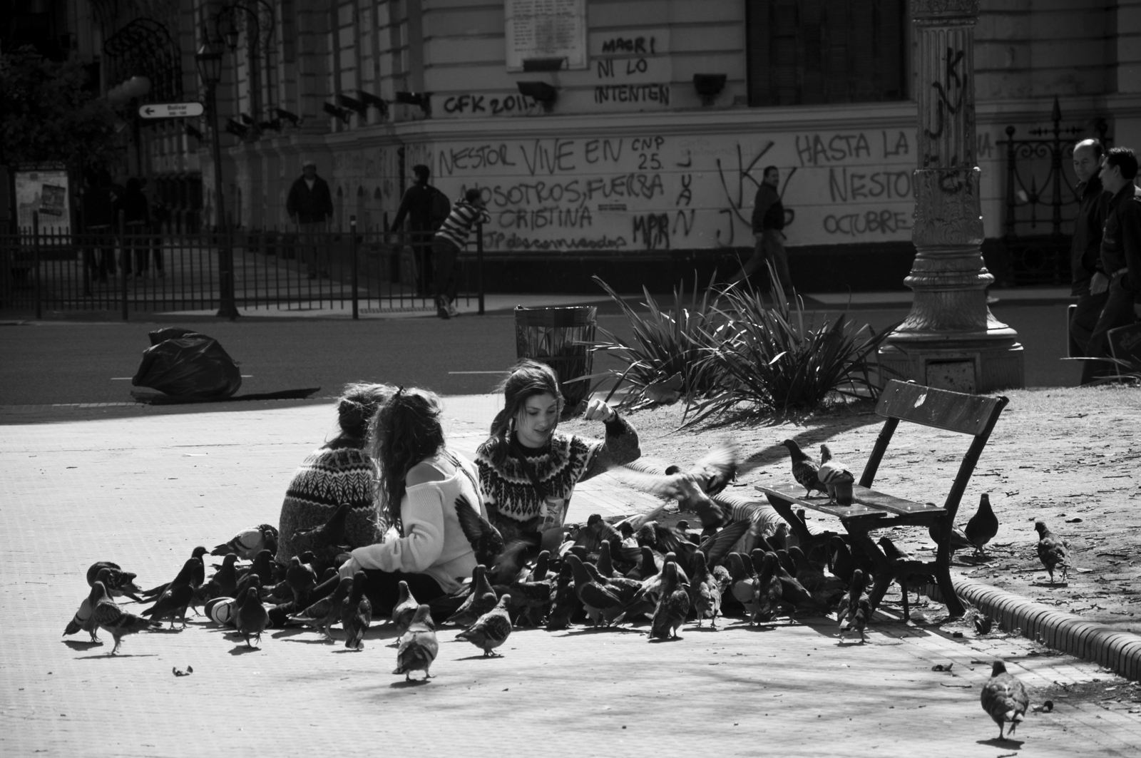 Las chicas de las palomas