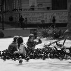 Las chicas de las palomas