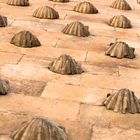 las conchas Salamanca