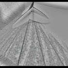 Las distorsiones del tiempo