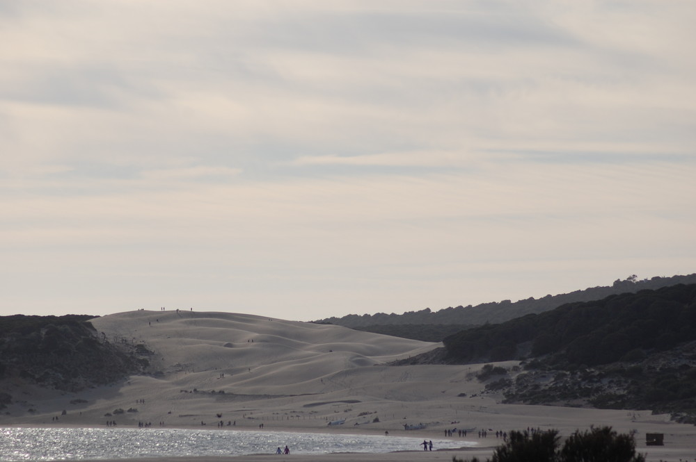 LAS DUNAS DE BOLONIA