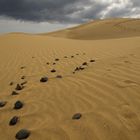 Las Dunas de Maspalomas