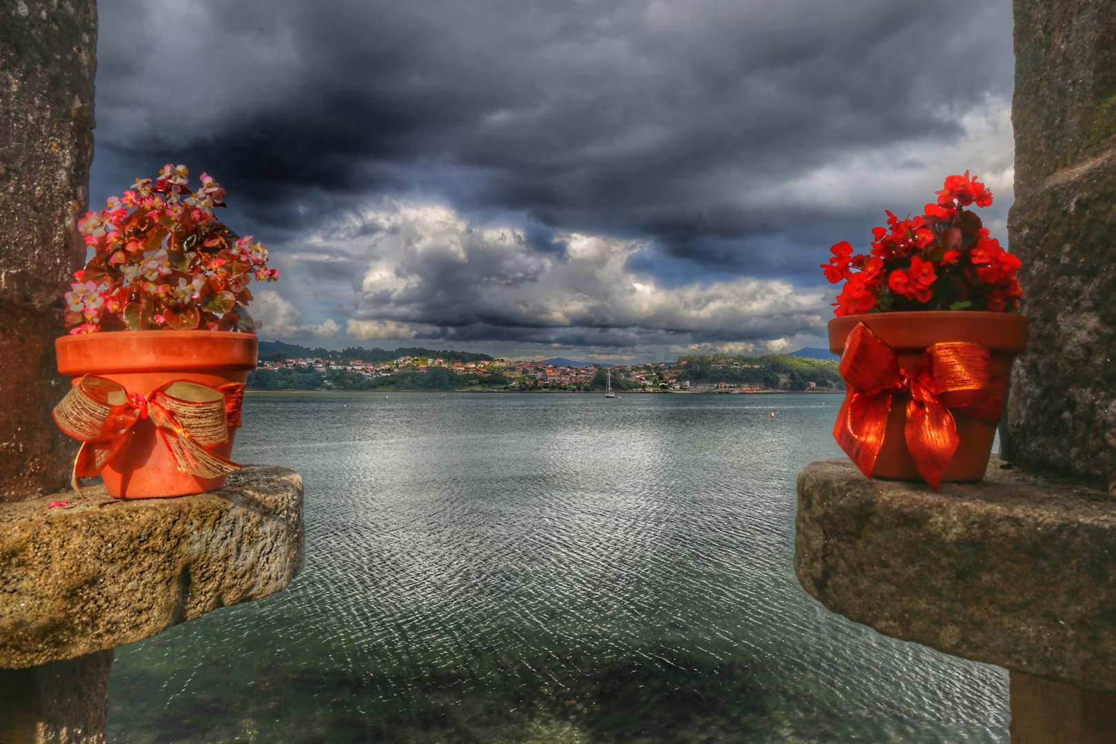 Las flores del mar