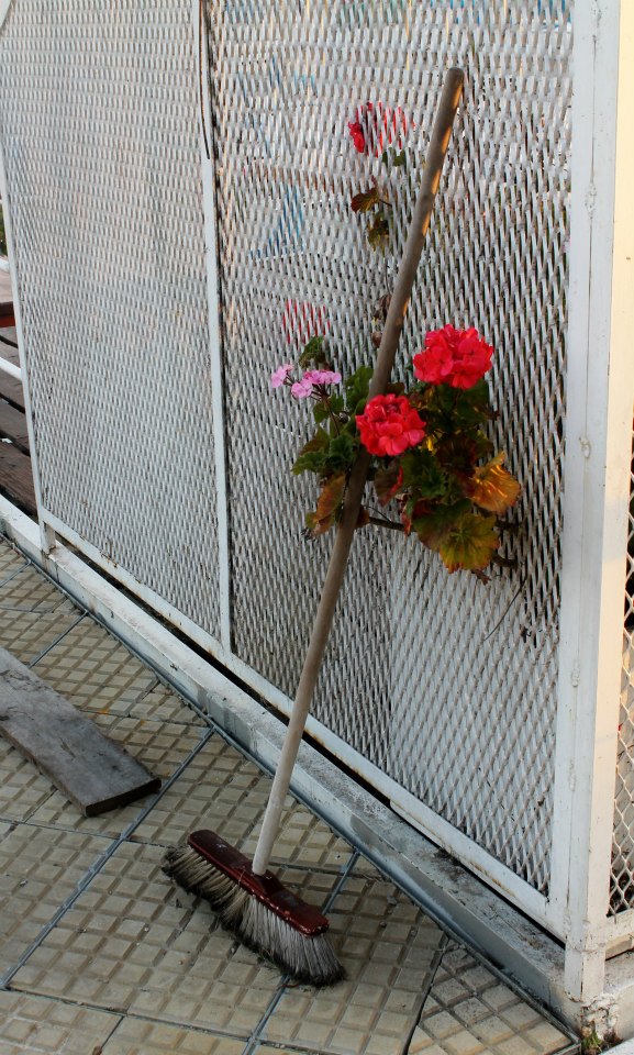 Las flores también barren