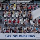 -LAS GOLONDRINAS-