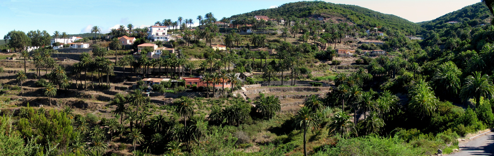 Las Hayas - La Gomera