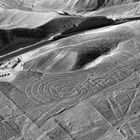 Las líneas de Nazca